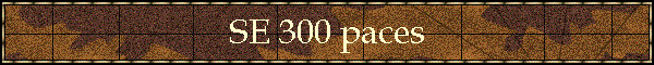 SE 300 paces