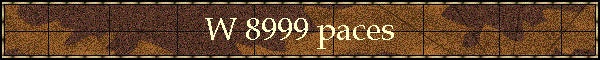 W 8999 paces
