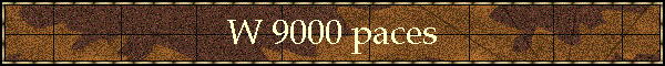 W 9000 paces
